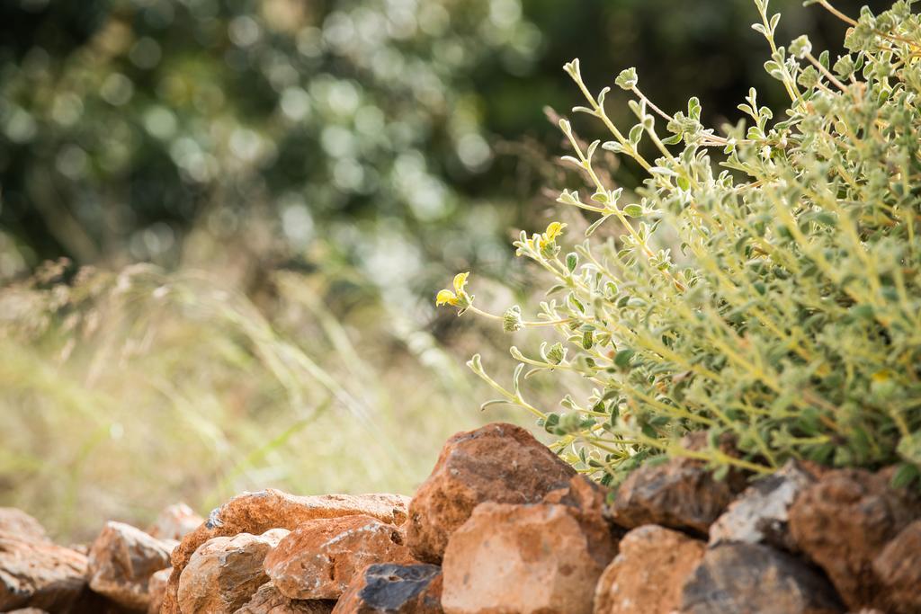 Hotel Creta Blue Luxury Collection (Adults Only) Hersonissos  Exteriér fotografie