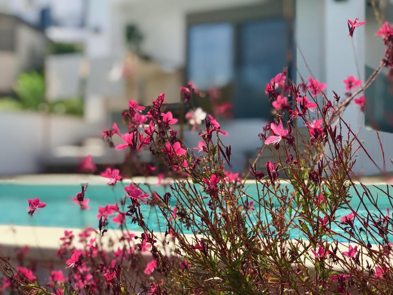 Hotel Creta Blue Luxury Collection (Adults Only) Hersonissos  Exteriér fotografie